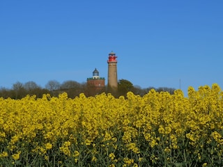 Ausflug zum Kap Arkona mit dem Fahrrad zu Fuß oder PKW