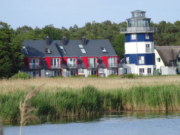 Ferienhaus Deichhaus No 1 direkt auf dem Deich
