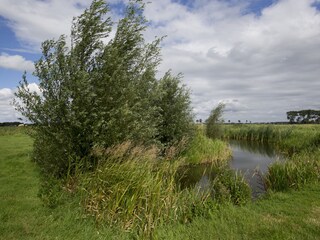 Casa per le vacanze Groningen Ambiente 9