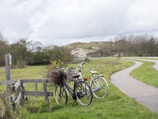 Vakantiehuis Noordwijk Omgeving 20