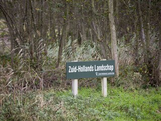 Vakantiehuis Noordwijk Omgeving 21