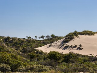 Vakantiehuis Noordwijk Omgeving 23