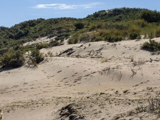 Casa per le vacanze Noordwijk Ambiente 24