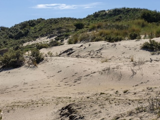 Ferienhaus Noordwijk Umgebung 24