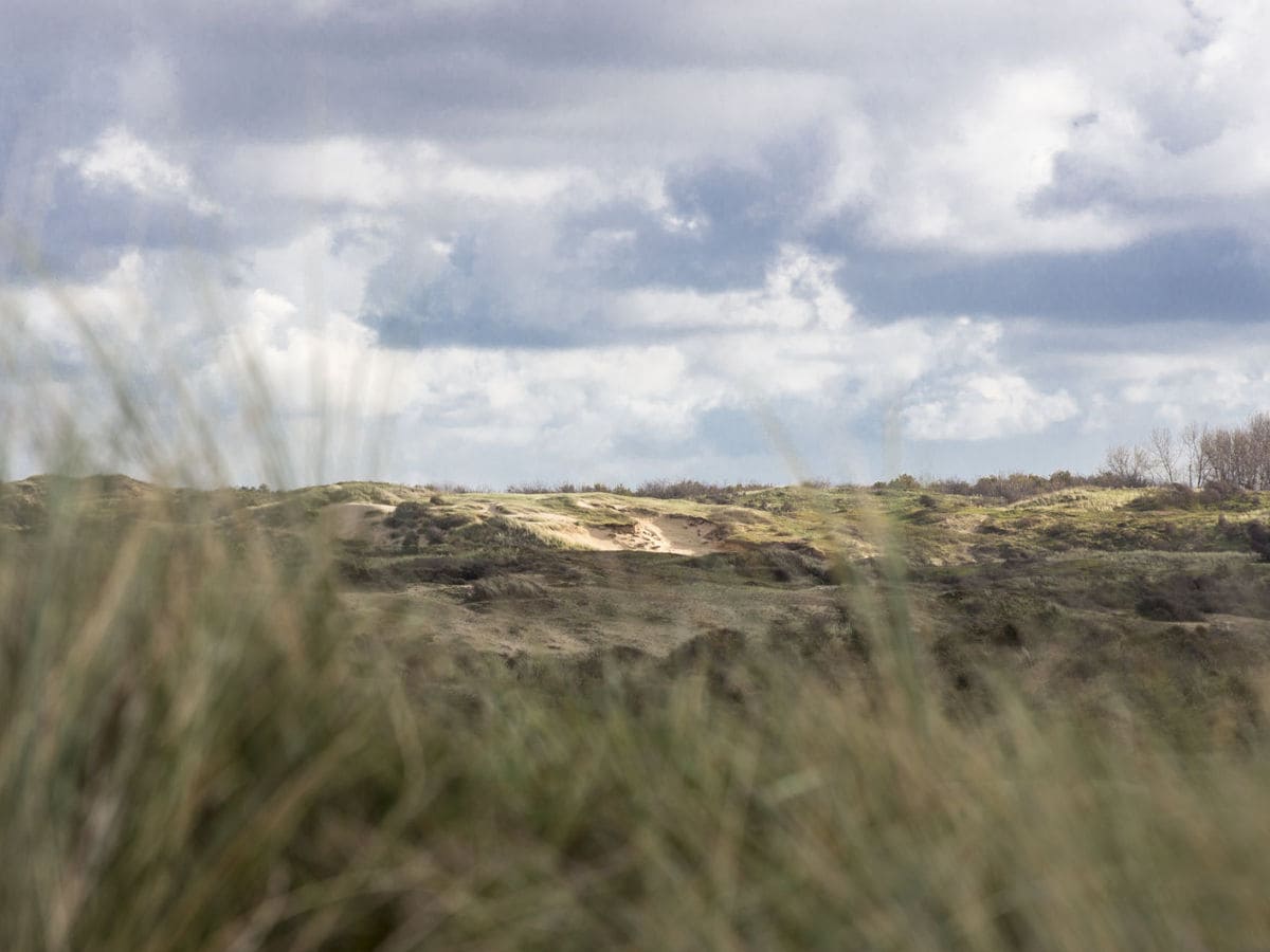 Ferienhaus Noordwijk Außenaufnahme 5