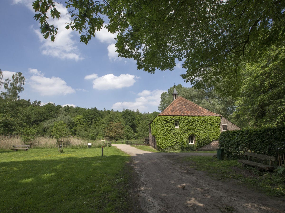 Ferienhaus Haelen Außenaufnahme 4