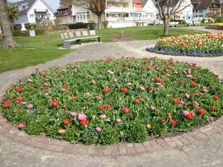 Bodenseefrühling