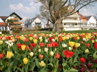 Spaziergang im Frühling