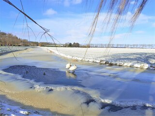 Ferienhaus Edam-Volendam Umgebung 32
