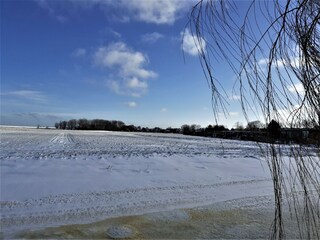Casa de vacaciones Edam-Volendam Entorno 33