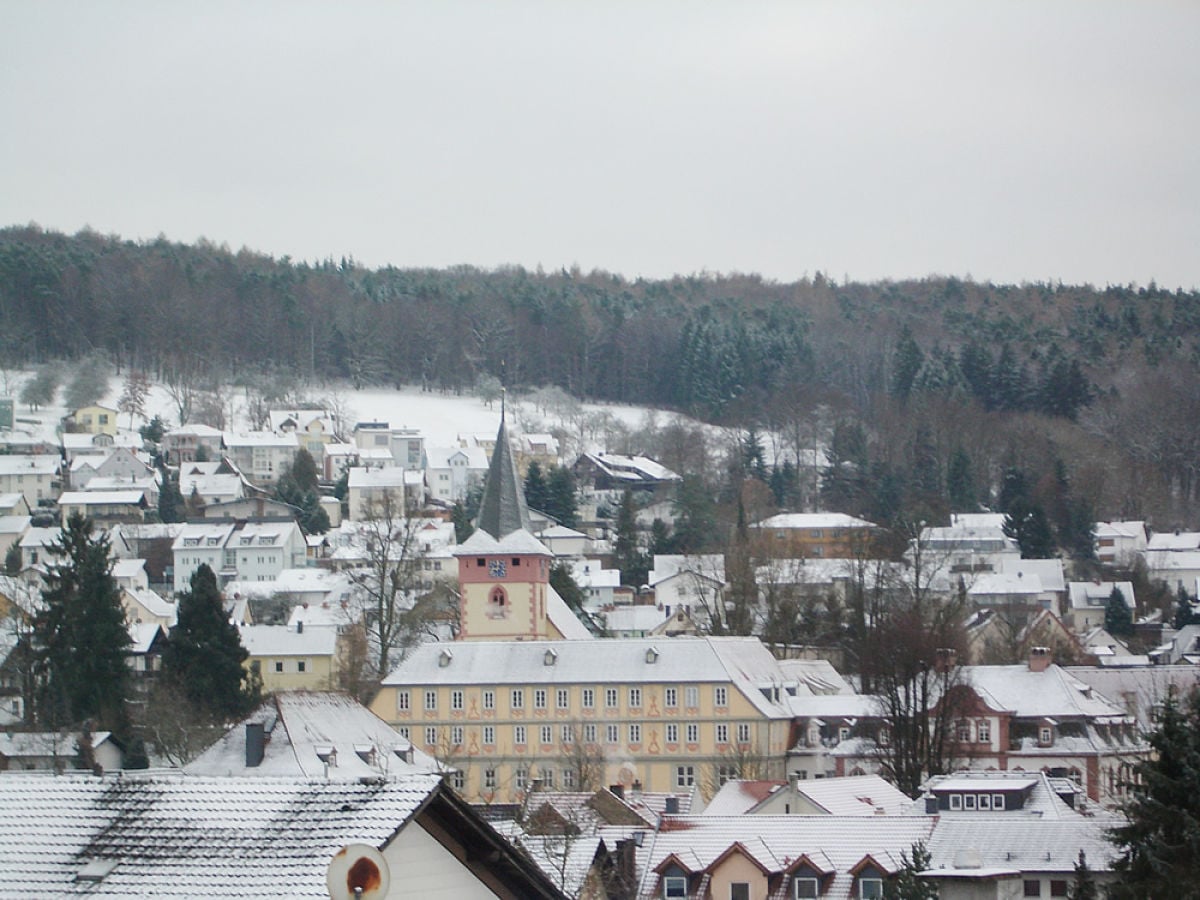 Blick auf das Bad Königer Schloss im Winter