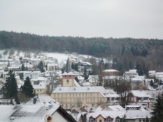 Blick auf das Bad Königer Schloss im Winter