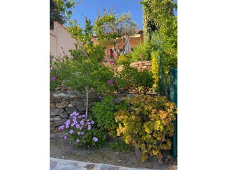 Casa per le vacanze Bormes-les-Mimosas Registrazione all'aperto 6