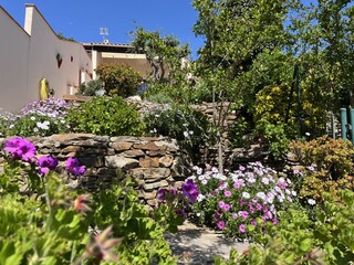 Casa per le vacanze Bormes-les-Mimosas Registrazione all'aperto 8