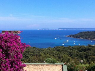 Casa per le vacanze Bormes-les-Mimosas Ambiente 21