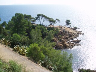 Casa per le vacanze Bormes-les-Mimosas Ambiente 26