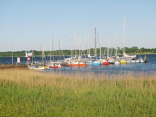 Blick auf Schlei und Bootssteg in Ulsnis