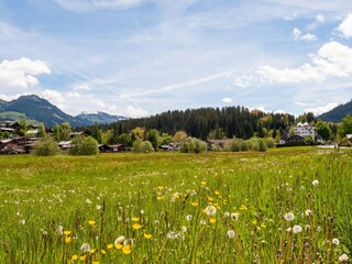 Appartement Kirchberg in Tirol Environnement 36