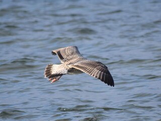 Vakantiehuis Rønde  30