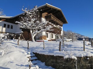 Garden in winter