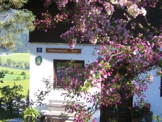 Appartamento per vacanze Neukirchen am Großvenediger Registrazione all'aperto 5