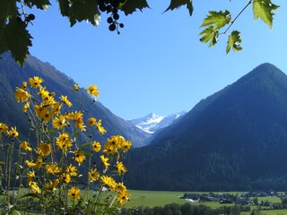 Appartamento per vacanze Neukirchen am Großvenediger  21