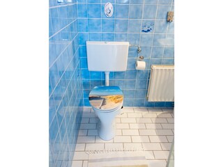 Casa per le vacanze Oostkapelle Caratteristiche 29