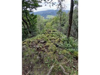 Holiday apartment Ehrenberg Environment 37