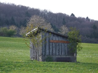 Cabin under the Ehrenberg in the spring