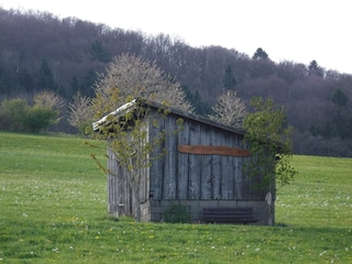 Hütte unterm Ehrenberg im Frühling