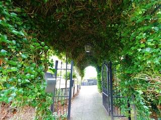 Ferienwohnung Spiekeroog Außenaufnahme 11