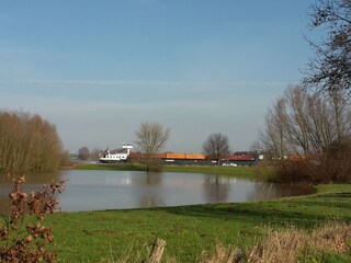 Hochwasser in den Rheinwiesen