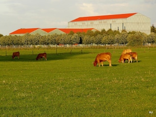 Appartamento per vacanze Xanten Ambiente 17