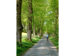 Appartamento per vacanze Xanten Ambiente 20