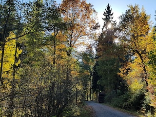 ... Sie werden unsere Wanderwege lieben