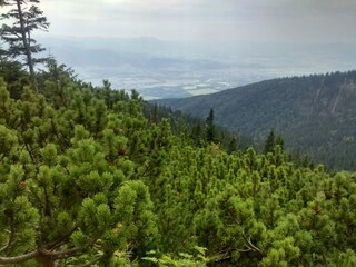 Villa Koniaków Entorno 20