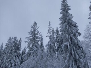 Villa Koniaków Environment 28