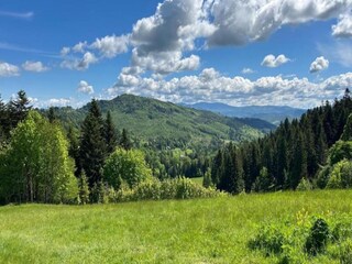 Villa Koniaków Environnement 23