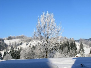 Villa Koniaków Environment 21