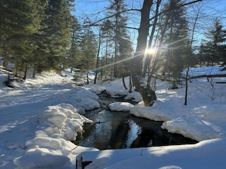 Villa Koniaków Environment 24