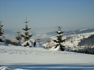 Villa Koniaków Ambiente 19