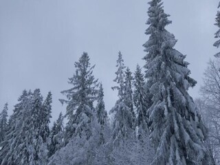 Villa Koniaków Entorno 35