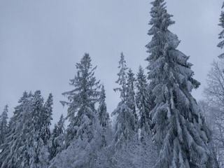 Villa Koniaków Environment 29