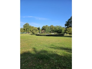 Blick vom Schlafzimmer auf den Lindenpark