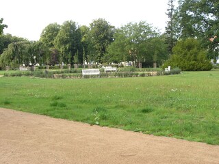 Blick vom Schlafzimmer auf den Lindenpark