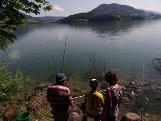 Appartamento per vacanze Mondsee Ambiente 14