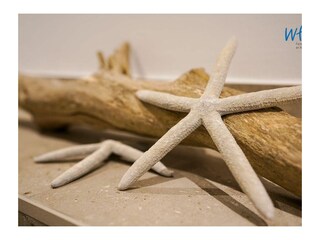 Apartamento de vacaciones Juist  23