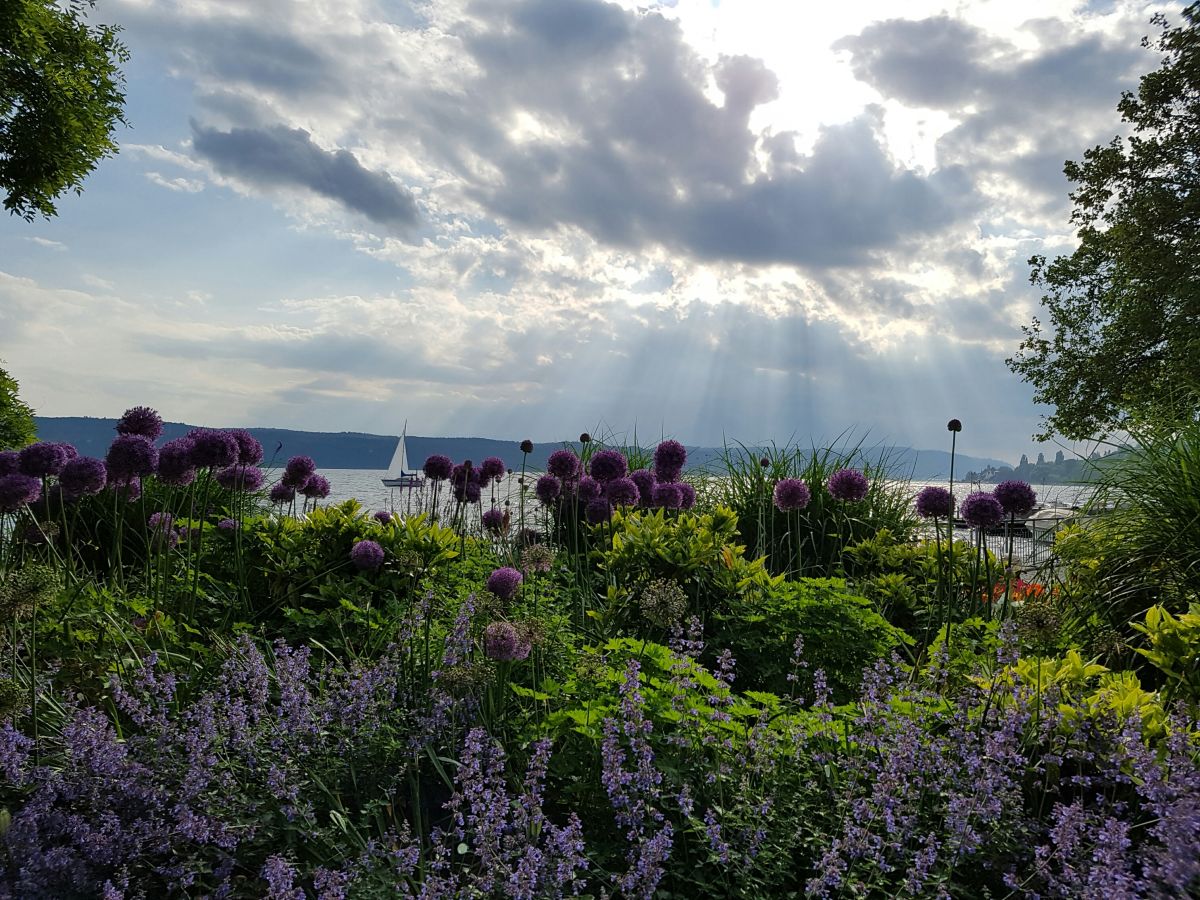 Uferpromenade Überlingen