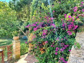 Casa per le vacanze Volterra Registrazione all'aperto 9