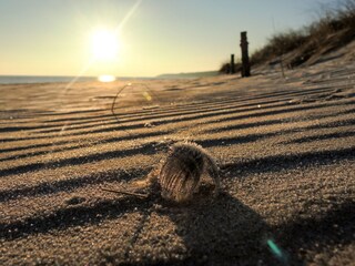 Sonne satt am Strand